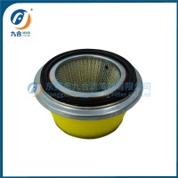 Air Filter 17210890003