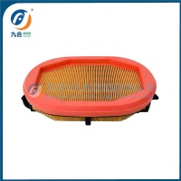 Air Filter  8049127