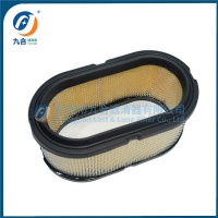 Air Filter 1253118