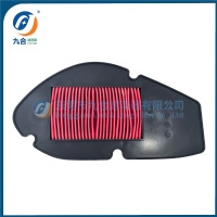 Air Filter F08010228