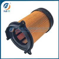 Air Filter F08010249