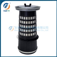 Air Filter  242493401