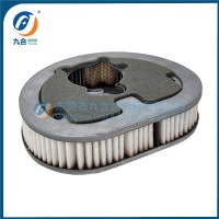 Air Filter 29330-96