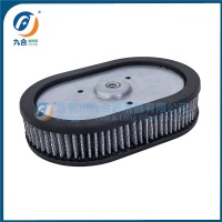 Air Filter 29670-09