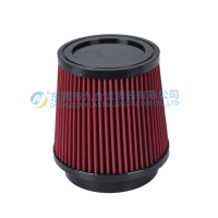 Air Filter RU-2520