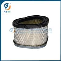 Air Filter 1208305