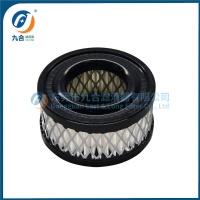 Air Filter  290309C91